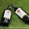 Rượu Vang Pháp Cotes du Roussillon Vieilles Vignes