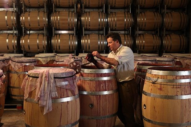 Rượu Vang Ý Frescobaldi Pater Sangiovese di Toscana