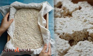 Nấm men - yếu tố tạo nên hương thơm và hương vị đặc trưng của sake