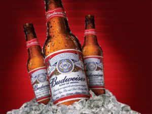 Bia Budweiser dòng bia được yêu thích nhất mùa hè 2015