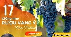 giống nho làm rượu vang Ý