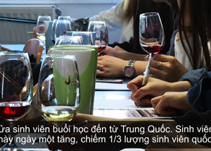 Pháp nơi đào tạo ra nhiều chuyên gia rượu hàng đầu thế giới