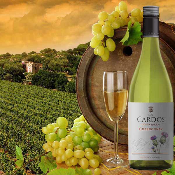 newruou-vang-dona-paula-estate-chardonnnay-khoruou-06 Text
