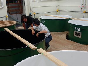 Nhà máy làm rượu sake chỉ đặt ở nơi có nguồn nước ngon