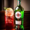 ruou-martini-extra-dry (2) Rượu mạnh Ý Martini Dry Vermouth