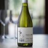 Rượu vang Úc Yalumba Wild Pinot Grigio