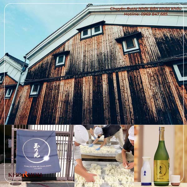 TAMANO HIKARI BREWING BY SAKE