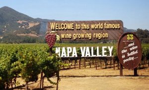 Bỏ túi kinh nghiệm tham quan vùng rượu vang Napa Valley