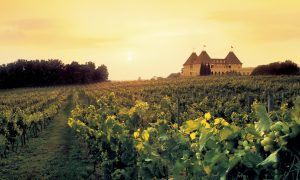 Ghé qua vùng nho và sản xuất rượu vang của Pháp....