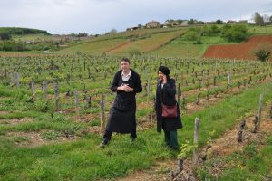 Loire trái tim của nước Pháp