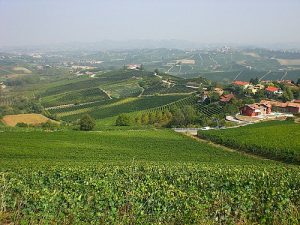 Veneto- vùng sản xuất rượu vang ý khổng lồ