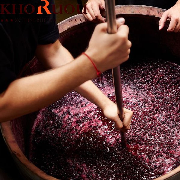 Rượu vang đỏ: Yếu tố tạo nên hương vị và cấu trúc "chất lừ"