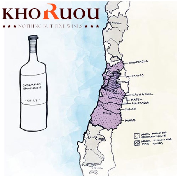 [2022] Các dòng rượu vang Chile đáng thử cho tín đồ yêu vang