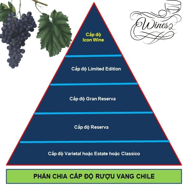 rượu vang Chile cao cấp chia theo cấp độ