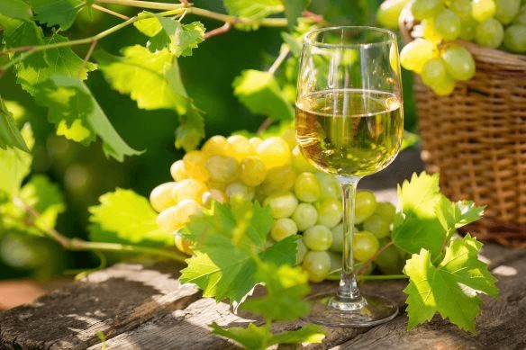 Rượu Vang Pháp Marsannay Blanc
