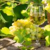 Ruou-Vang-Y-Benefizio-Pomino-Bianco-Riserva-05