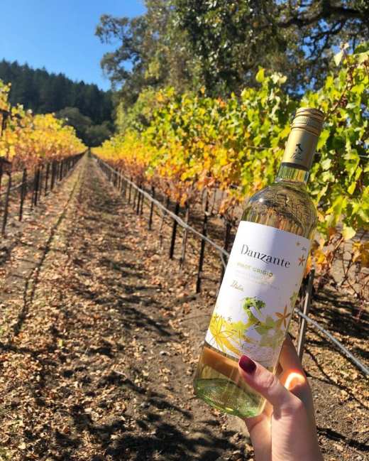 Rượu Vang Ý Danzante Pinot Grigio