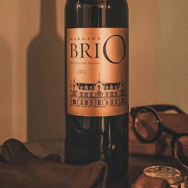 Rượu vang Pháp Brio De Cantenac Brown
