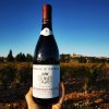 Rượu Vang Pháp Domaine St Patrice Chateauneuf Du Pape