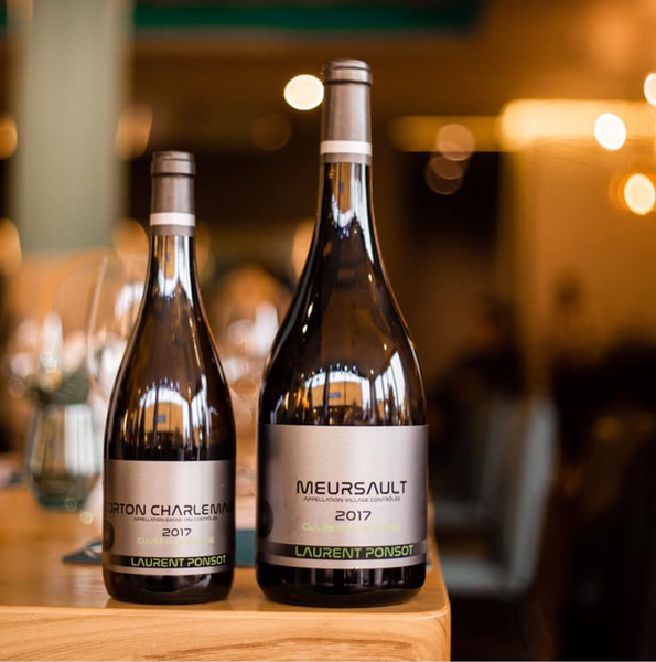 Rượu Vang Pháp Meursault Cuvee Du Pandorea