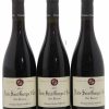 Rượu Vang Pháp Nuits-Saint-Georges 1er Cru Aux Boudots Domaine Michel Noellat