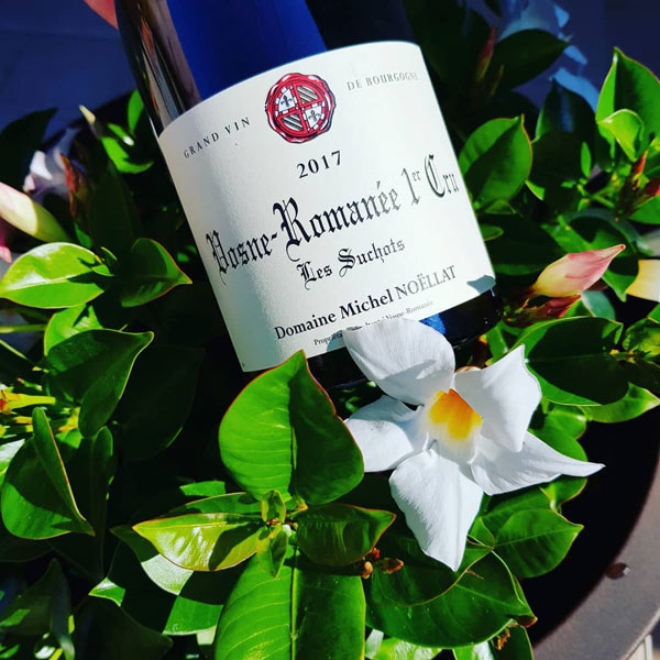 Rượu Vang Pháp Savigny-Les-Beaune 1er Cru Les Peuillets Domaine Michel Noellat