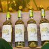 Rượu vang Chile Santa Carolina Reserva Sauvignon Blanc
