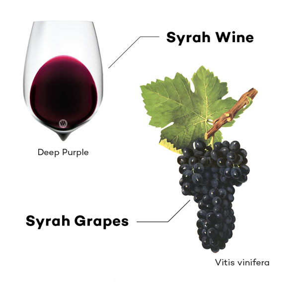 Rượu vang Pháp Georges Duboeuf Syrah
