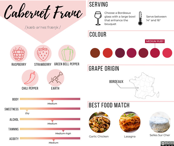 Rượu vang Pháp Guilbaud Freres Chinon Le Haut Des Vignes
