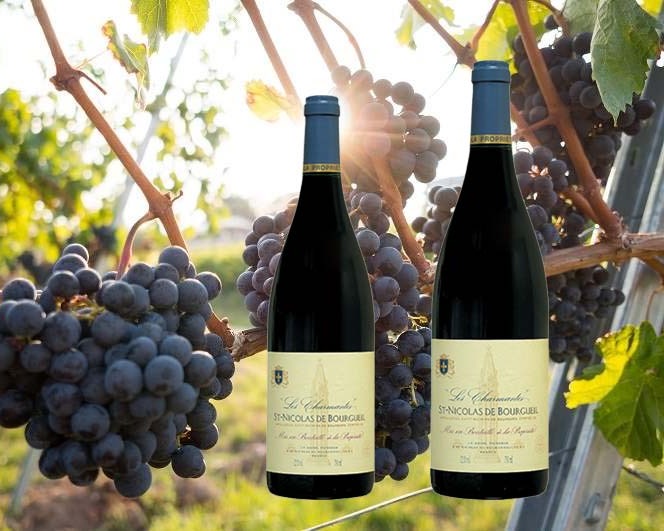 Rượu vang Pháp Saint Nicolas de Bourgueil Charmante