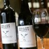 ruou-vang-uc-dragonfly-carbernet-merlot (2) rượu vang Úc Dragonfly Cabernet Merlot