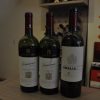 Rượu vang Chile Sensaciones Merlot