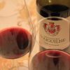 ruou-vang-phap-chateau-daiguilhe-2014 (1)