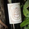 ruou-vang-phap-chateau-pichon-baron-2010 (1)