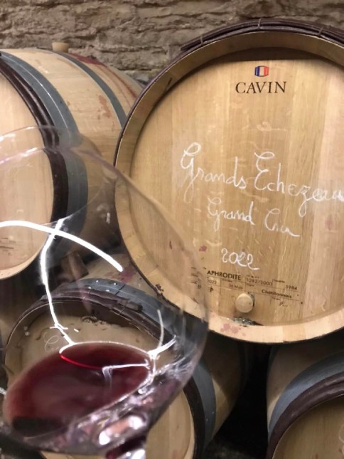 Rượu Vang Pháp Echezeaux Grand Cru