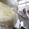 Rượu Sake Nhật Bản Kitaya Tokubetsu Junmai