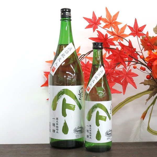 Rượu Sake Nhật Bản Yamato Shizuku Junmai