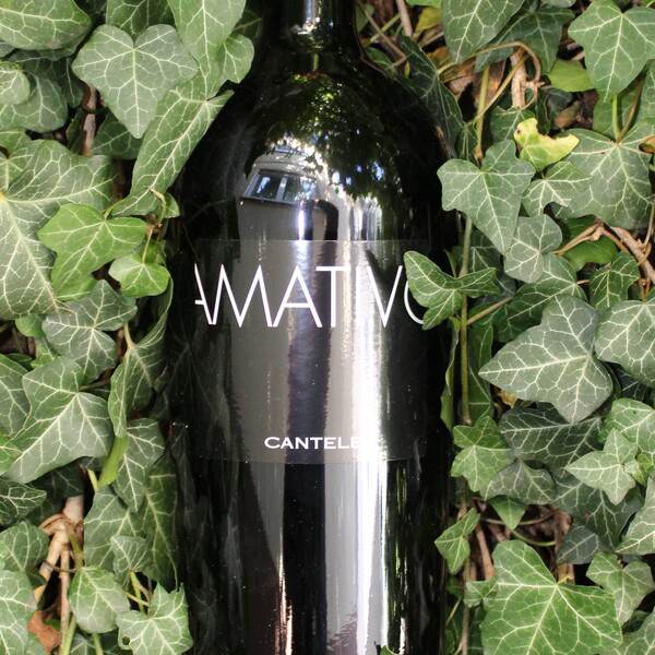 Rượu Vang Ý Amativo Cantele Salento