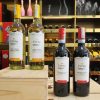ruou-vang-y-citra-montepulciano-dabruzzo-doc (1)