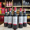 ruou-vang-y-citra-montepulciano-dabruzzo-doc