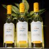 ruou-vang-y-citra-terre-di-chieti-pinot-grigio-igt (1)