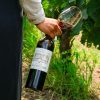ruou-vang-phap-chateau-beauregard-2016 (2) Rượu vang Pháp Chateau Beauregard 2016