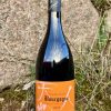 Rượu Vang Pháp Maison Lou Dumont Bourgogne Rouge 2019