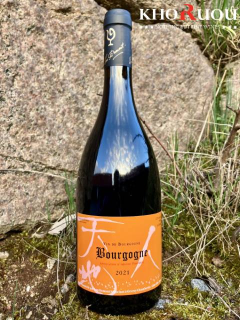 Rượu Vang Pháp Maison Lou Dumont Bourgogne Rouge 2019