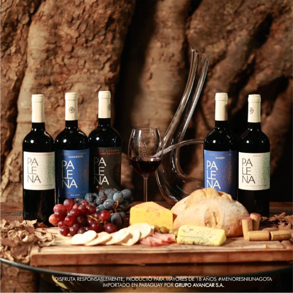 Rượu Vang Chile Palena Gran Reserva Cabernet Sauvignon