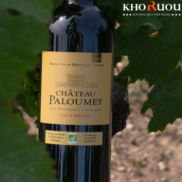Rượu vang Pháp Chateau Paloumey khoruou