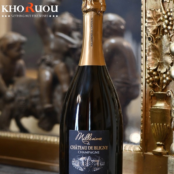 Rượu Champagne Pháp Château de Bligny Brut Millesimé khoruou2 Rượu Champagne Pháp Château de Bligny Brut Millesimé khoruou