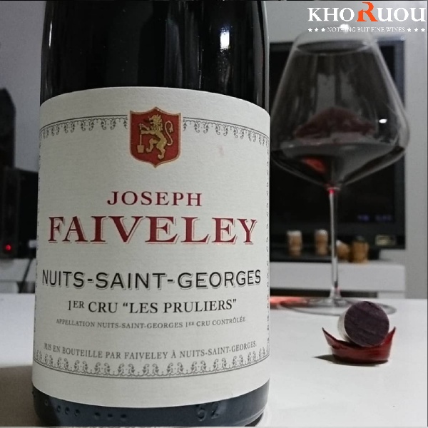 Rượu vang Pháp Domaine Faiveley "Les Ruggiens" Pommard Premier Cru khoruou