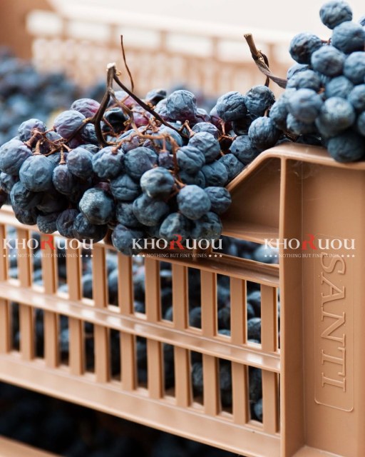 Cantina Santi