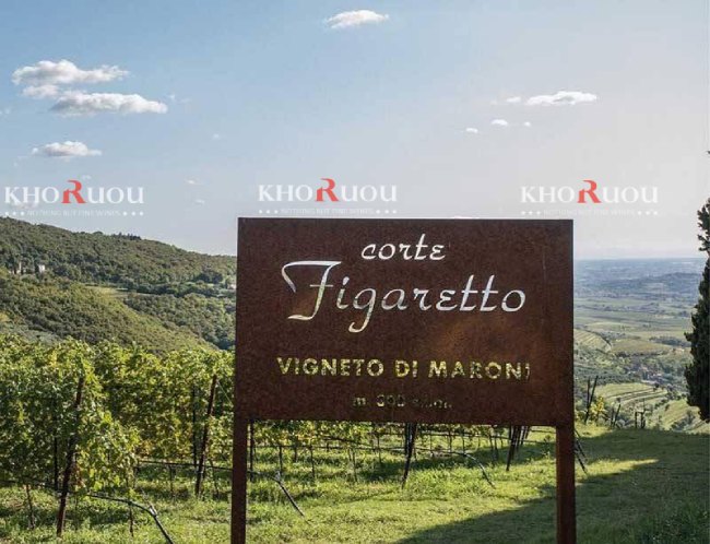 Rượu Vang Ý BROLO DEL FIGARETTO "Gr...l" Amarone della Valpolicella DOCG
